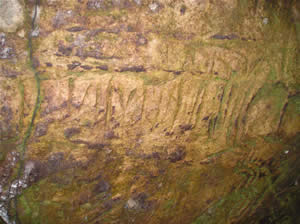¿Estos signos grabados en la pared del Sector II son las reliquias de la escritura perdida de los Incas? (Foto: Thierry Jamin, agosto de 2006)