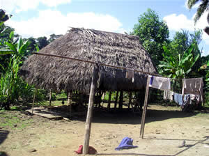 Una pangotsi machiguenga de la comunidad nativa de Palotoa-Teparo. (Foto: Thierry Jamin, juillet 2006)