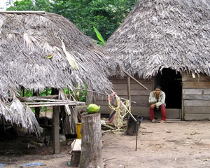 Unas pangotsis y un Machiguenga sentado en el pequeño establecimiento machi de Abaroa. (Foto: Thierry Jamin, agosto de 2006)