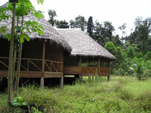 El lodge flamante, construido por la organización Pro Manu y la comunidad machiguenga de Palotoa-Teparo, en el camino de Pusharo. (Photo : Thierry Jamin, agosto de 2006)