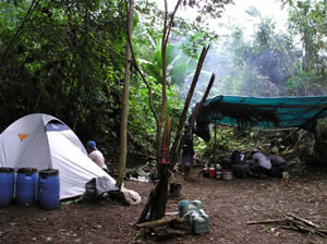 Nuestro Campo Base, no lejos del Sector I-A de Pusharo. (Foto: Thierry Jamin, agosto de 2006)