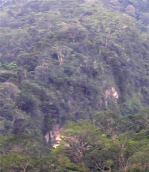 Una día, en el camino para estudiar el Sector I-A de Pusharo, ¡Thierry Jamin y sus compañeros descubren un segundo geoglifo! (Foto: Thierry Jamin, agosto de 2006)