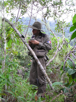 Dentro de un geoglifo, Thierry Jamin se orienta. (Foto: Thierry Jamin, agosto de 2006)