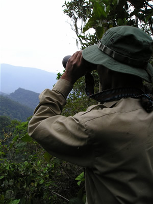 En el Sector IV, Hermogenes Figueroa Lucana escudriña el horizonte en busca de otro geoglifos. (Foto: Thierry Jamin, agosto de 2006)